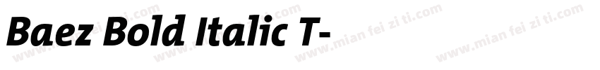 Baez Bold Italic T字体转换